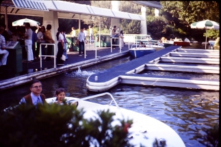 My beautiful picture